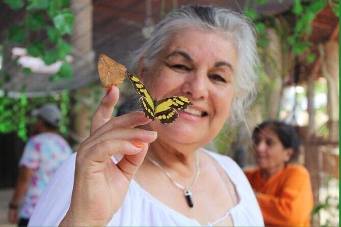 Butterflies, City tour, tequila, and beach (kids free) - Tequila Tasting and the No-Phone Butterfly Lab Rules