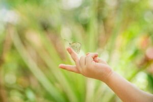 Butterfly Sanctuary & Museum Guided Tour in Puerto Vallarta - Your 1-Hour Timeline: What Happens During the Guided Visit