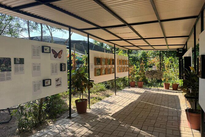 Butterfly Sanctuary, Museum & Lunch with Transport - Lunch Included: Traditional Mexican Food, Not a Random Grab-and-Go