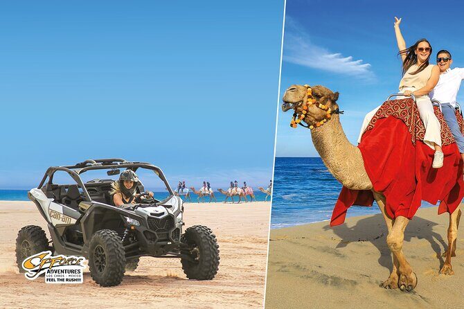 Cabo Adventure: Can-Am X3 Ride & Camel Beach Tour - Key takeaways before you go