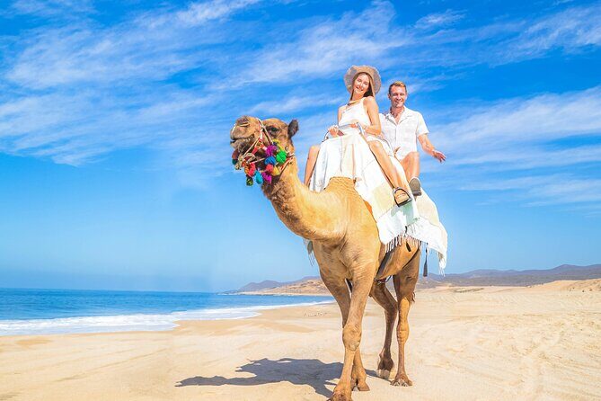 Cabo Adventure: Can-Am X3 Ride & Camel Beach Tour - Camel encounter by the Pacific: what you’re really doing