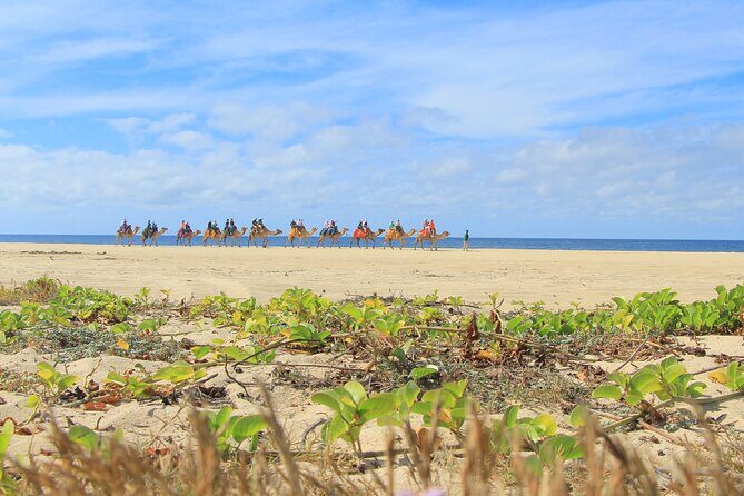 Cabo Adventure: Can-Am X3 Ride & Camel Beach Tour - Families and kids: the kids club and nanny service angle
