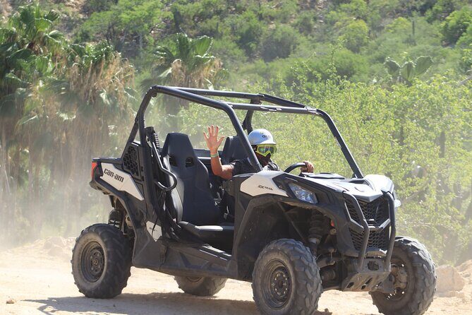 Cabo Adventure: Can-Am X3 Ride & Camel Beach Tour - Who this tour fits best (and who should choose another option)