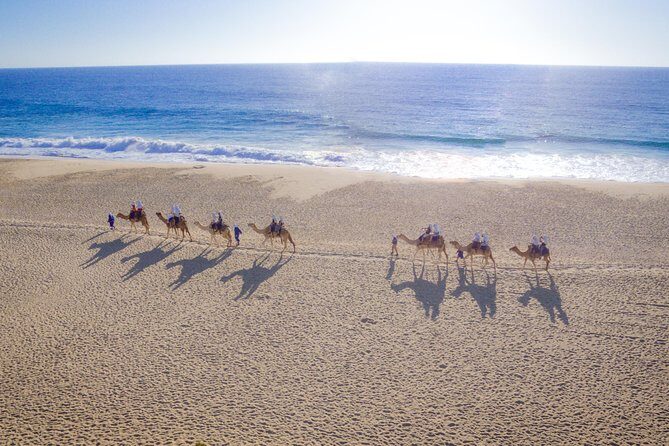 Cabo Beach Camel Ride, Mexican Buffet and Tequila Tasting - Key things that make this tour worth your time