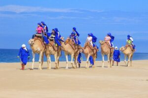 Cabo Beach Camel Ride, Mexican Buffet and Tequila Tasting - Tierra Sagrada: the oceanfront ranch stop that sets the whole tone