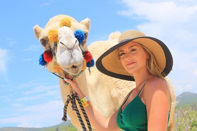 Cabo Beach Camel Ride, Mexican Buffet and Tequila Tasting - Timing, group size, and physical demands that actually matter