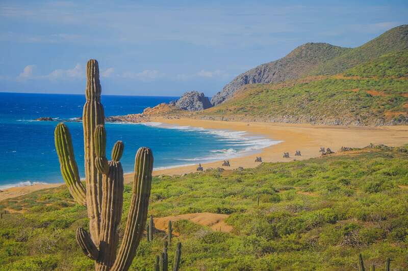Cabo: Beach & Desert Single ATV Tour with Tequila Tasting - Key highlights worth circling