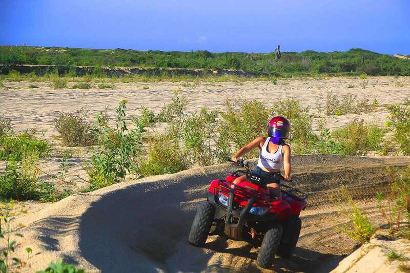 Cabo: Beach & Desert Single ATV Tour with Tequila Tasting - Who should book this Cabo ATV tour (and who should skip)