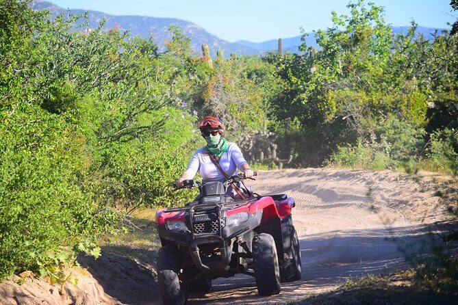 Cabo Candelaria Village Adventure + Tequila Tasting - Guides Raul and Alberto: The Difference Between Fast and Fun