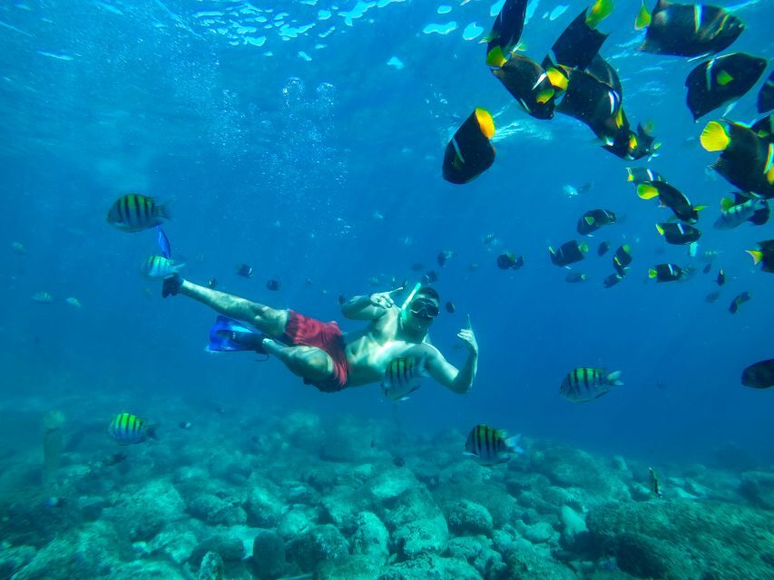 Cabo Catamaran Snorkel: Arch & Santa Maria, Open Bar, Snacks - FAQ