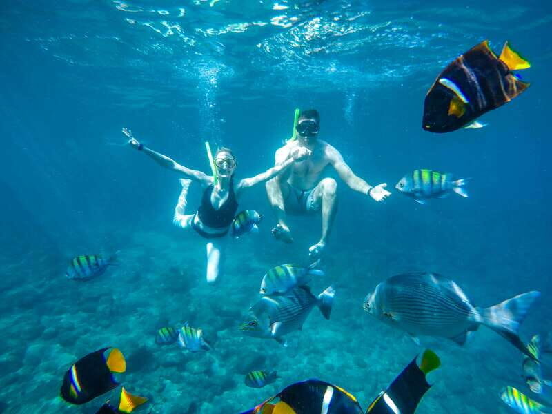 Cabo Catamaran Snorkel: Arch & Santa Maria, Open Bar, Snacks - Santa Maria Bay snorkeling: what to expect in the water