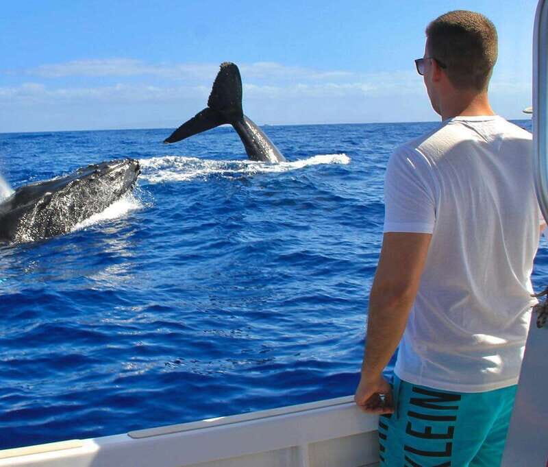 Cabo Catamaran Snorkel: Arch & Santa Maria, Open Bar, Snacks - Tips to improve your experience fast (no overthinking required)