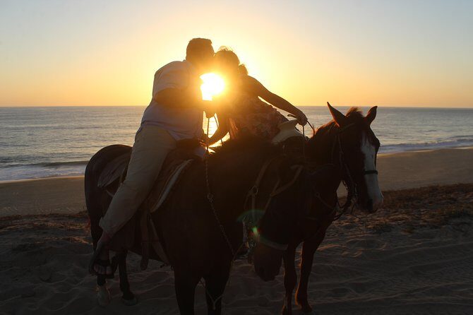 Cabo Desert Off-Road & Beach Horseback Combo and Tequila Tasting - Price and Value: What You Should Budget Beyond the $100