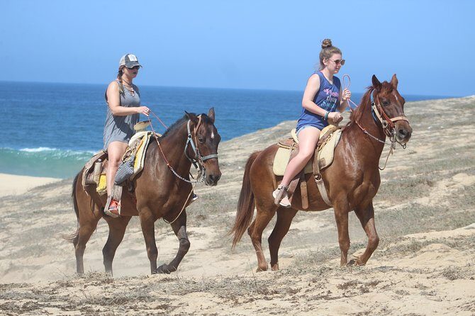 Cabo Desert Off-Road & Beach Horseback Combo and Tequila Tasting - Group vs Private: How to Get the Ride You Actually Want