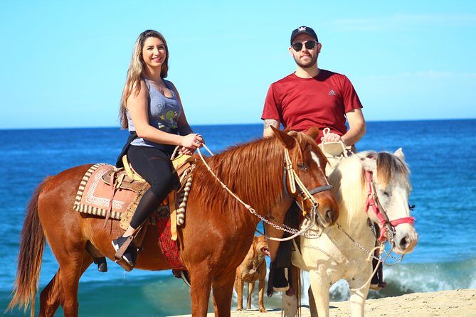 Cabo Desert Off-Road & Beach Horseback Combo and Tequila Tasting - The Beach Horseback Half: Calm Scenery, Real Rides on White Sand