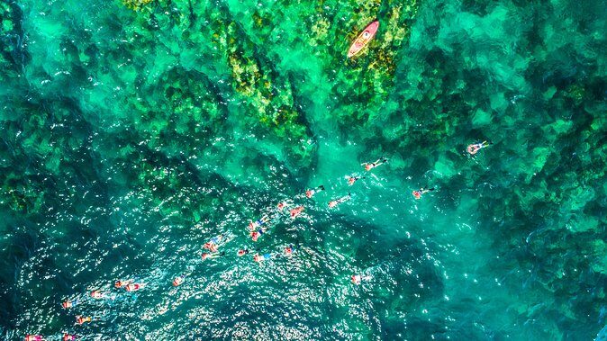 Cabo Escape Breakfast Snorkel Cruise - Stop 3: The Return Cruise + Mexican-style full breakfast