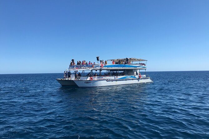 Cabo Escape Snorkel Fun Cruise - FAQ