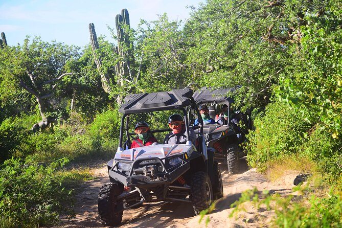 Cabo Migrino Beach & Desert Tour (Triple UTV) - Who should book this Cabo Migrino Beach & Desert Tour
