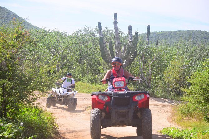 Cabo Original Real Baja 1000 Tour (Single ATV) - Key Highlights You’ll Actually Care About
