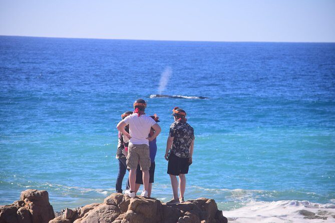 Cabo Original Real Baja 1000 Tour (Single ATV) - Photo Stops: Why the Best Moments Aren’t On Your Map
