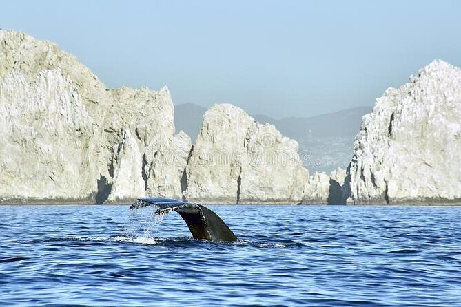 Cabo Private Transportation to Cabo - Airport Meet-Up That Saves Your Energy