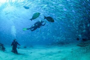 Cabo Pulmo 2 Tank Certified Dive with Lunch - The two-tank format: how the day usually unfolds