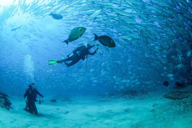 Cabo Pulmo 2 Tank Certified Dive with Lunch - The two-tank format: how the day usually unfolds