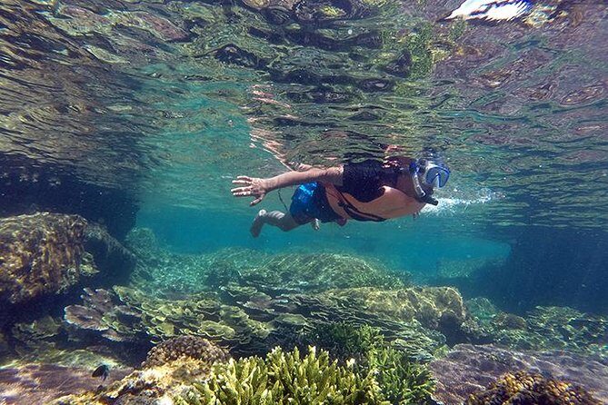 Cabo Pulmo National Park Snorkel Expedition from Cabo San Lucas - Key things that make this tour worth your attention