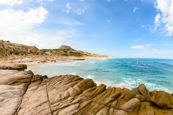 Cabo Pulmo National Park Snorkel Expedition from Cabo San Lucas - Who this Cabo Pulmo trip fits best