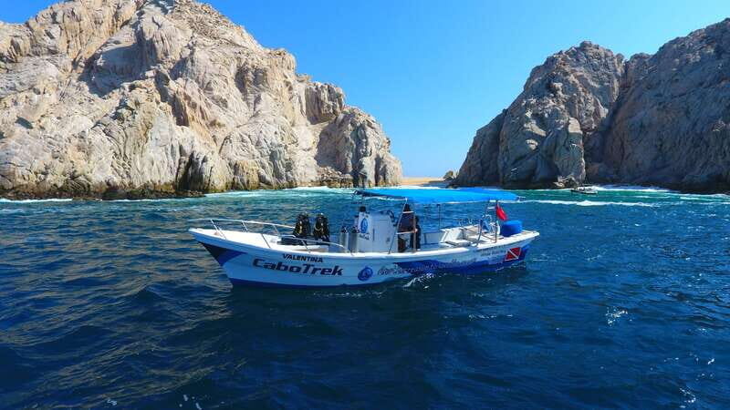 Cabo San Lucas: 2.5-Hour Whale Watching Tour - On board with marine biologists: what makes this tour different