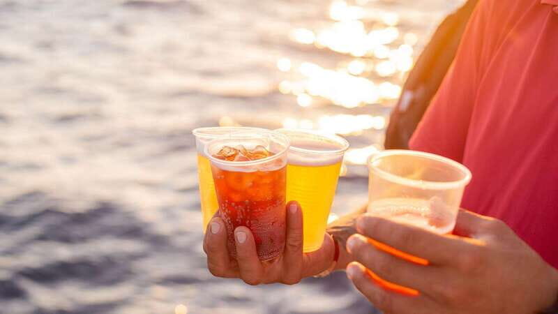 Cabo San Lucas: 2 Hour Sunset Cruise with Food and Wine - Key points at a glance