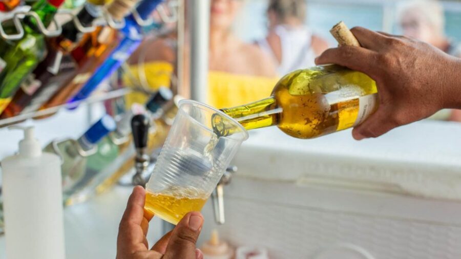 Cabo San Lucas: 2 Hour Sunset Cruise with Food and Wine - Sunset Hour on the Water: Jazz, Open-Bar Drinks, and Color in the Sky