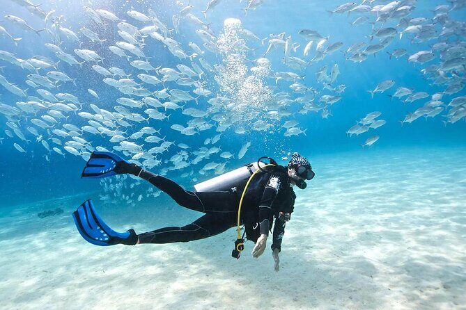 Cabo San Lucas 2 Tank Scuba Diving - Why the Deep-Wall Geography Is a Real Value for Your Money