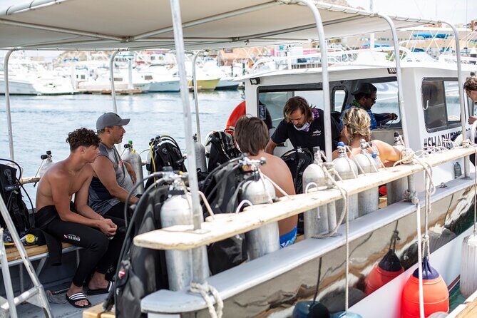 Cabo San Lucas 2 Tank Scuba Diving - Price and Value: What $150.54 Covers (and the One Cost You Should Double-Check)