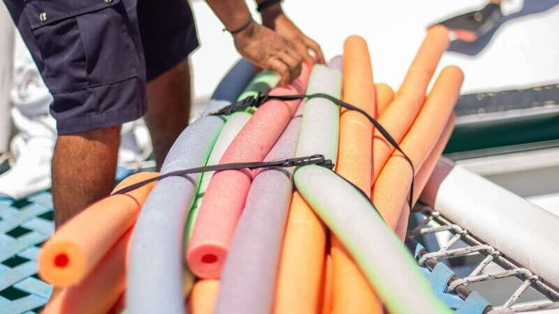 Cabo San Lucas: 4-Hour Snorkeling Cruise with Open Bar - Open bar and deck time, plus lunch on the return cruise