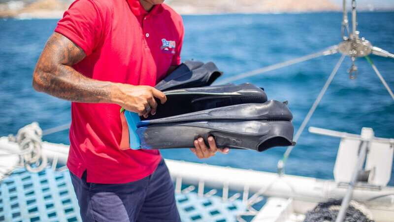 Cabo San Lucas: 4-Hour Snorkeling Cruise with Open Bar - Should you book this Cabo snorkeling cruise?