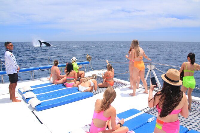 Cabo San Lucas All-Inclusive Private Catamaran Snorkeling Cruise - Whale season: what to expect in December through March