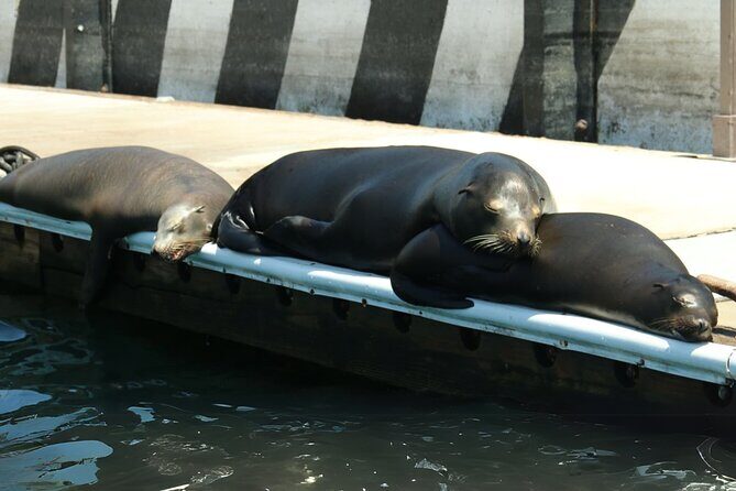 Cabo San Lucas Arc Group Tour in Glass Bottom Boat - Key highlights at a glance