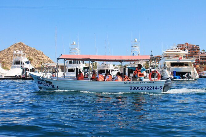 Cabo San Lucas Arc Group Tour in Glass Bottom Boat - Glass-Bottom Boat Reality Check: What You See Through
