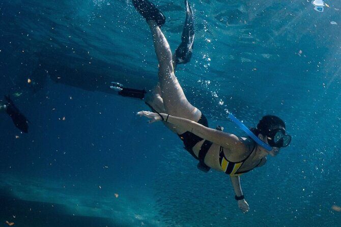 Cabo San Lucas Arch Boat Tour and Snorkeling at Pelican Rock - El Arco at Land’s End: How to Get the Best Views