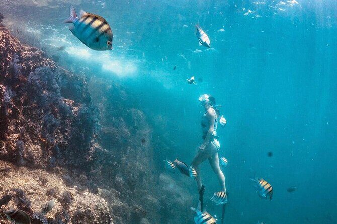 Cabo San Lucas Arch Boat Tour and Snorkeling at Pelican Rock - What’s Included (and What You’ll Want to Bring)