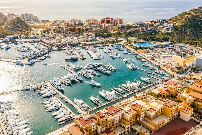 Cabo San Lucas Arch Cruise and Shopping Tour - Key highlights worth knowing
