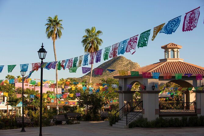 Cabo San Lucas Arch Cruise and Shopping Tour - Cabo San Lucas Arch cruise: what this tour is really like