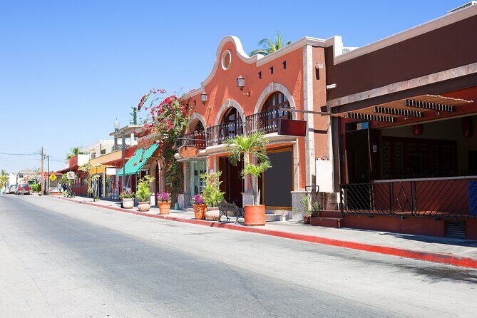 Cabo San Lucas Arch Cruise and Shopping Tour - Getting picked up and to the marina on time