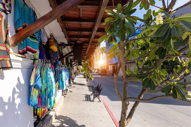 Cabo San Lucas Arch Cruise and Shopping Tour - The fast boat cruise around the Arch and Land’s End
