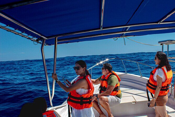 Cabo San Lucas Arch Private Boat Tour - Key Things to Know Before You Go