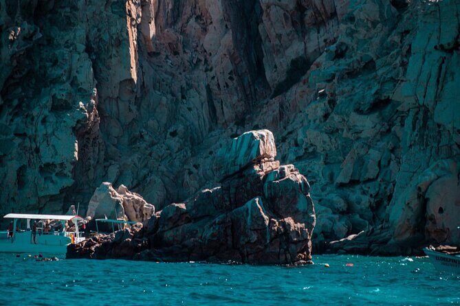 Cabo San Lucas Arch Private Boat Tour - Meeting at D Dock: What the 1-Hour Schedule Feels Like