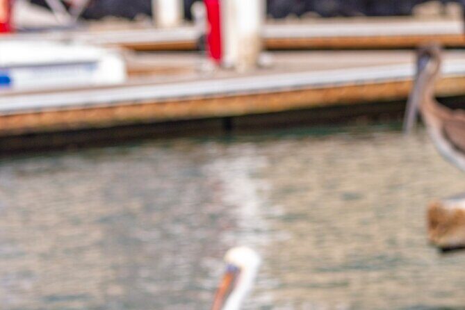 Cabo San Lucas Arch Private Boat Tour - Playa de los Amantes: Lover Beach’s Personality in a Short Time