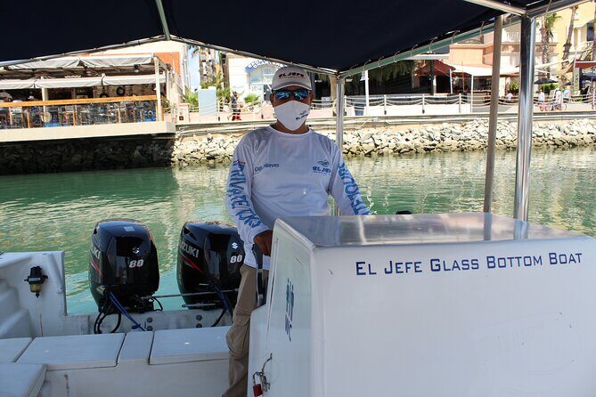 Cabo San Lucas Arch Private Boat Tour - The Glass-Bottom Advantage: Aquatic Animals Aren’t Just a Bonus