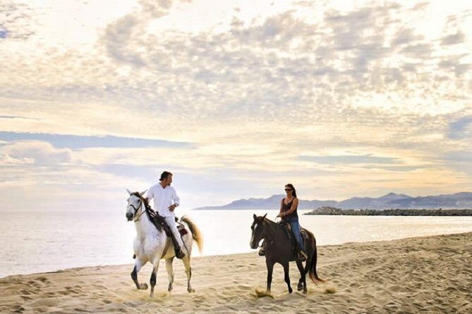 Cabo San Lucas Beach and Desert Horseback Ride - Key things that make this ride worth it
